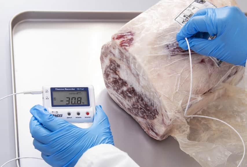 温度を測定されている冷凍された肉