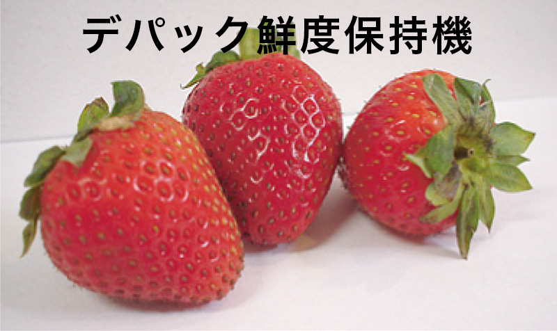 小型のデパック解凍機
