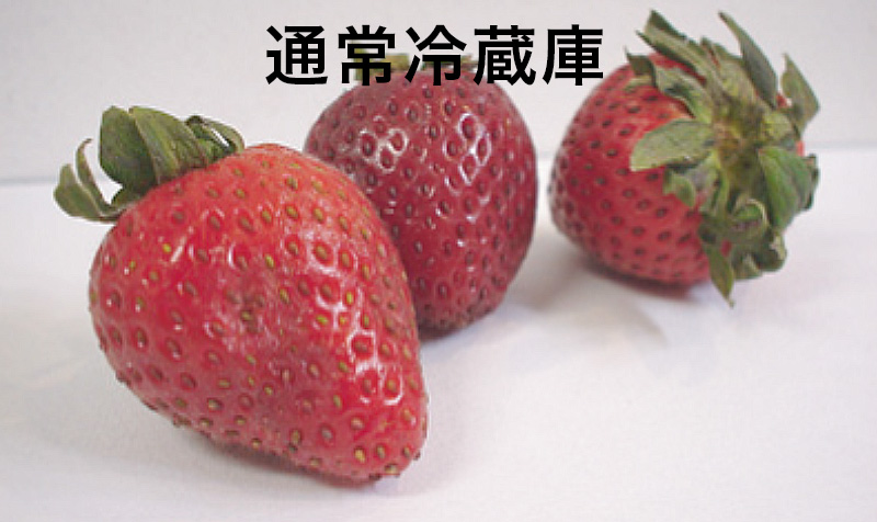 小型のデパック解凍機